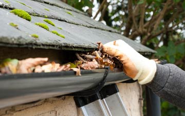 gutter cleaning Edradynate, Perth And Kinross