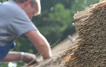 professional Edradynate thatchers